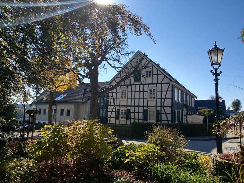 Familienunterstützender Dienst NOH BIENEEN e.V. – Bild 3