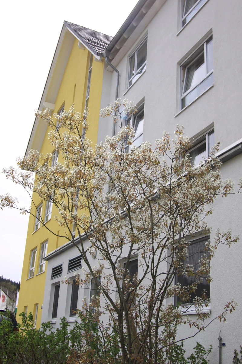Haus Evergreen Bergneustadt – Bild 5