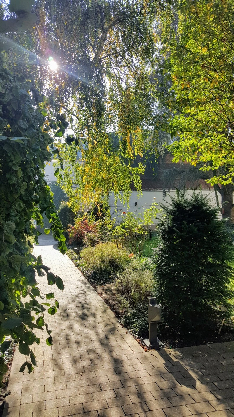 Seniorenzentrum Franziskuskloster-Lindenplatz – Bild 5