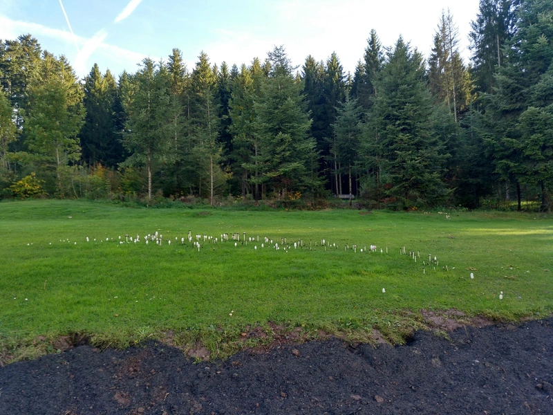 Alten- und Pflegeheim Haus Kohlscheid GmbH – Bild 3