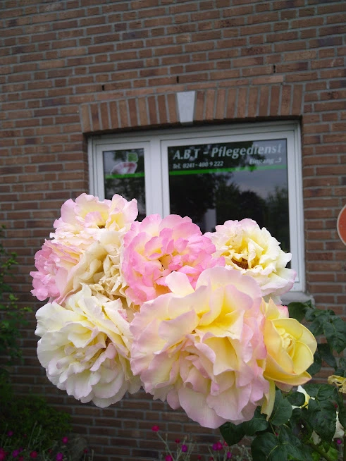 A.B.T. Pflegedienst Josi Fellehner GmbH – Bild 3