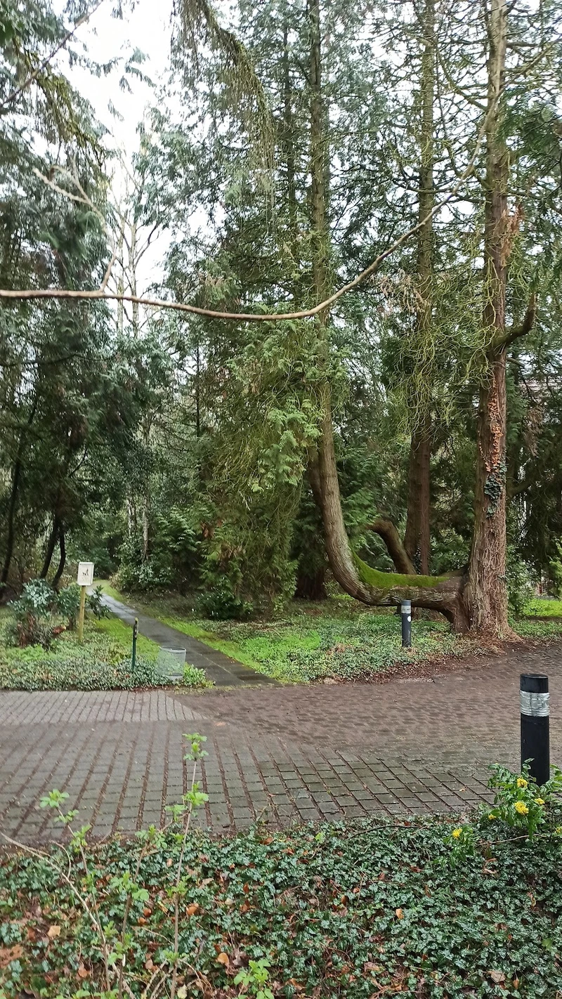 DRK Sozialstation Mönchengladbach – Bild 2