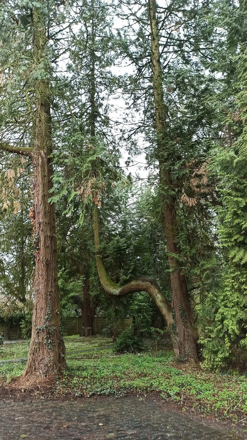 DRK Sozialstation Mönchengladbach – Bild 3