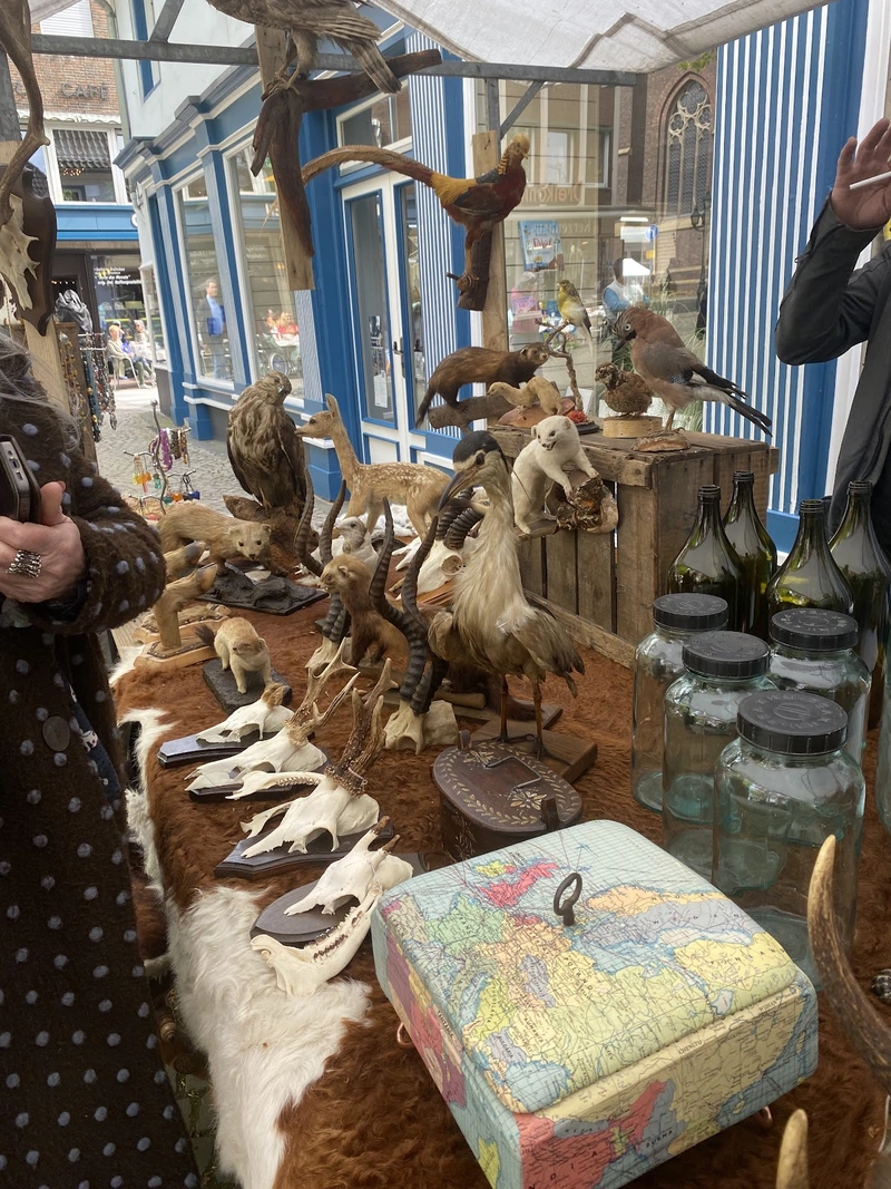 Caritas Pflege und Hilfe zu Hause Kevelaer – Bild 2