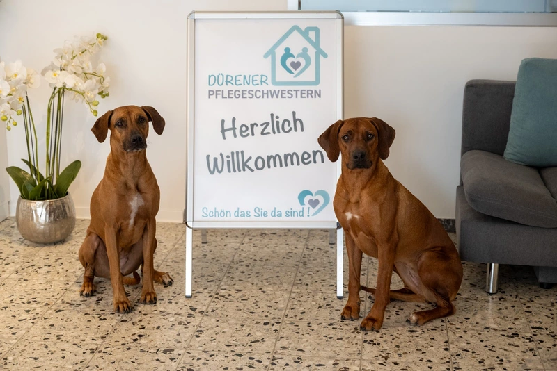 Dürener Pflegeschwestern GmbH & Co. KG – Bild 4