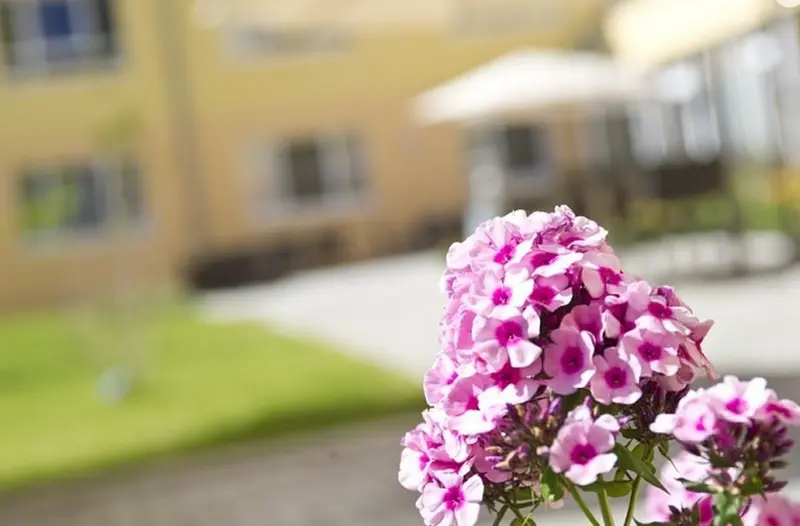 Wohnanlage "Arche am Mühlenteich" – Bild 3