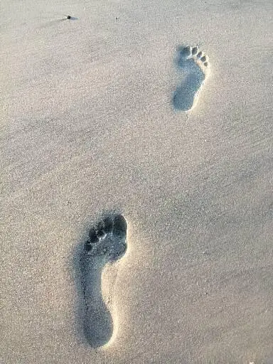 Alea Demenzberatung – Bild 2