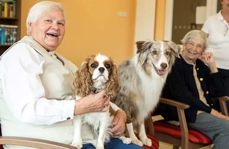 Seniorenresidenz Mondorf – Bild 3