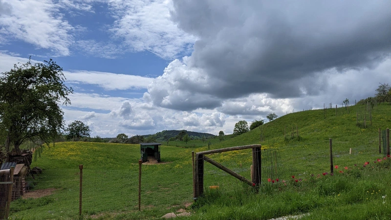 Seniorenhaus zur Buche – Bild 3