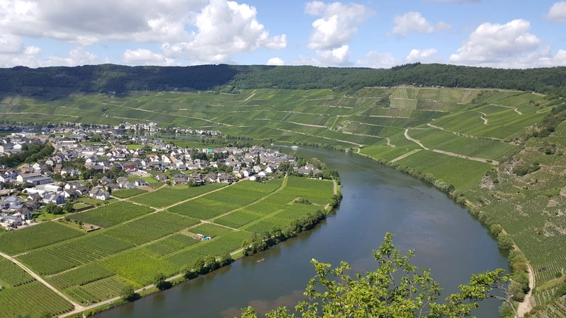 Seniorenzentrum AGO Piesport – Bild 1