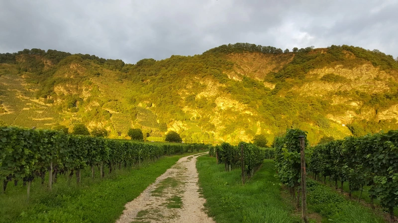 Seniorenzentrum AGO Piesport – Bild 2