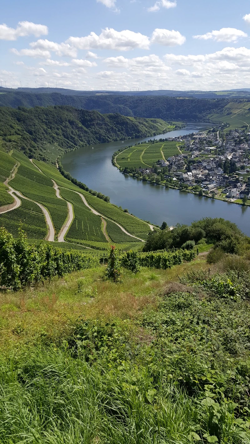 Seniorenzentrum AGO Piesport – Bild 3