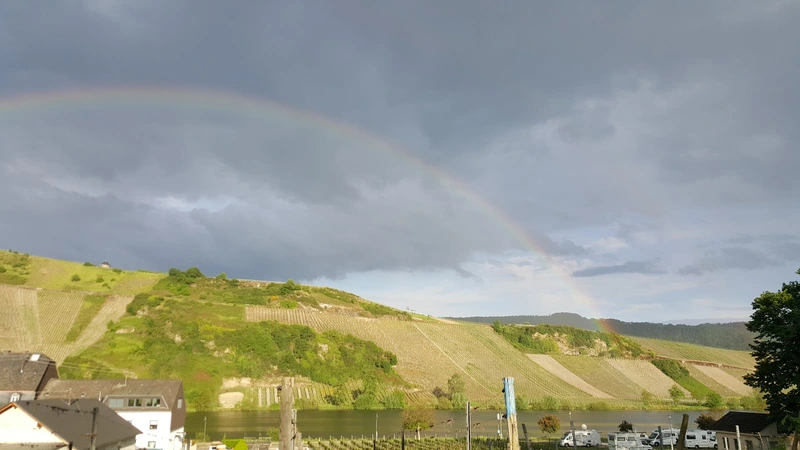 Seniorenzentrum AGO Piesport – Bild 4