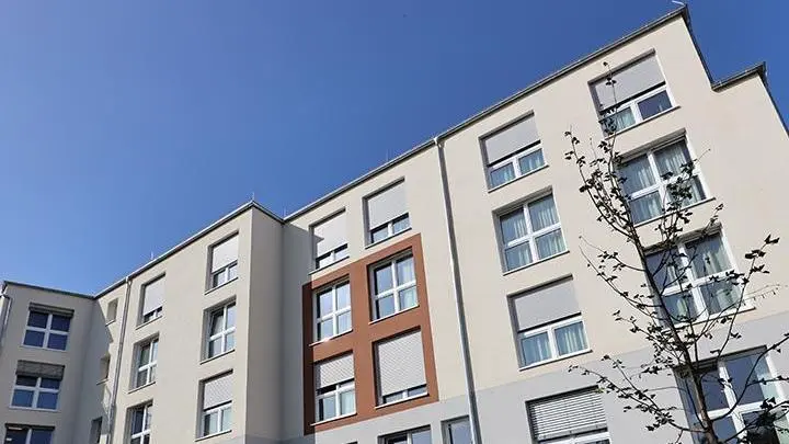 DOREAFAMILIE Bingen – Bild 3