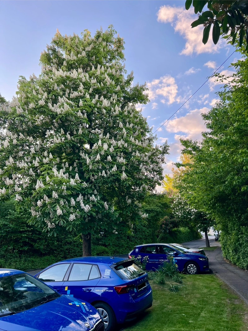 Diakonie Nümbrecht – Bild 5