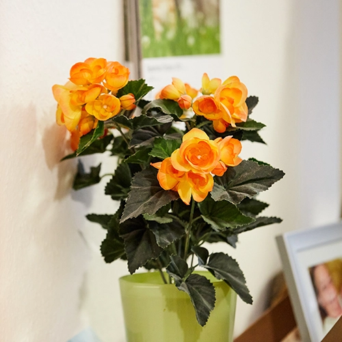 Alten- u. Pflegeheim der Alice-Schwesternschaft – Bild 4