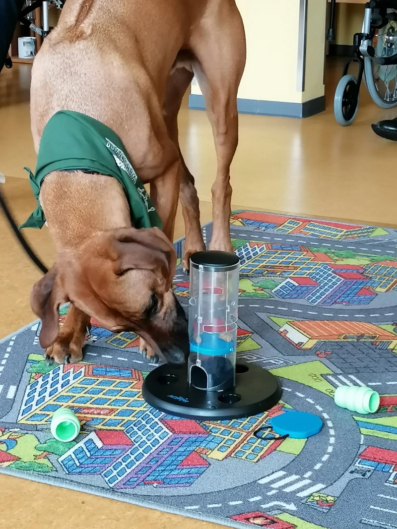 Pflegeeinrichtung Puricelli Stift – Bild 5