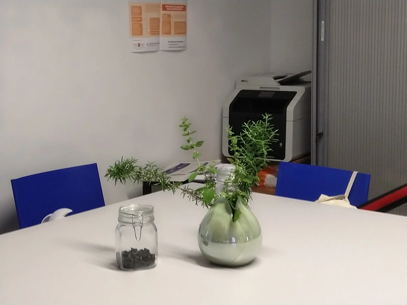 Schütz Günter – Bild 5