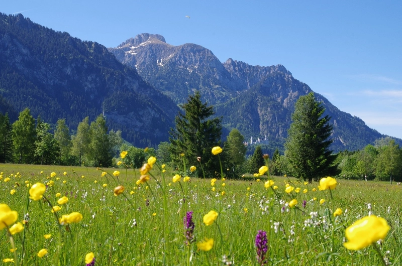 Isabella Herzog – Bild 2