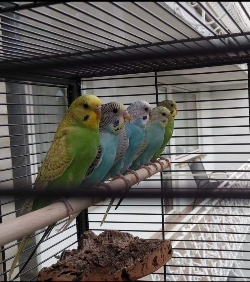 Alten- und Pflegeheim Haus Schlosspension – Bild 4