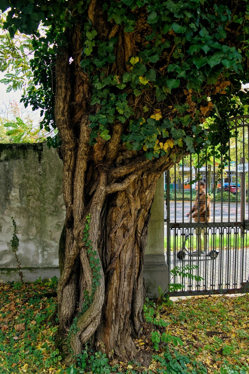 Seniorenzentrum St. Barbara – Bild 2