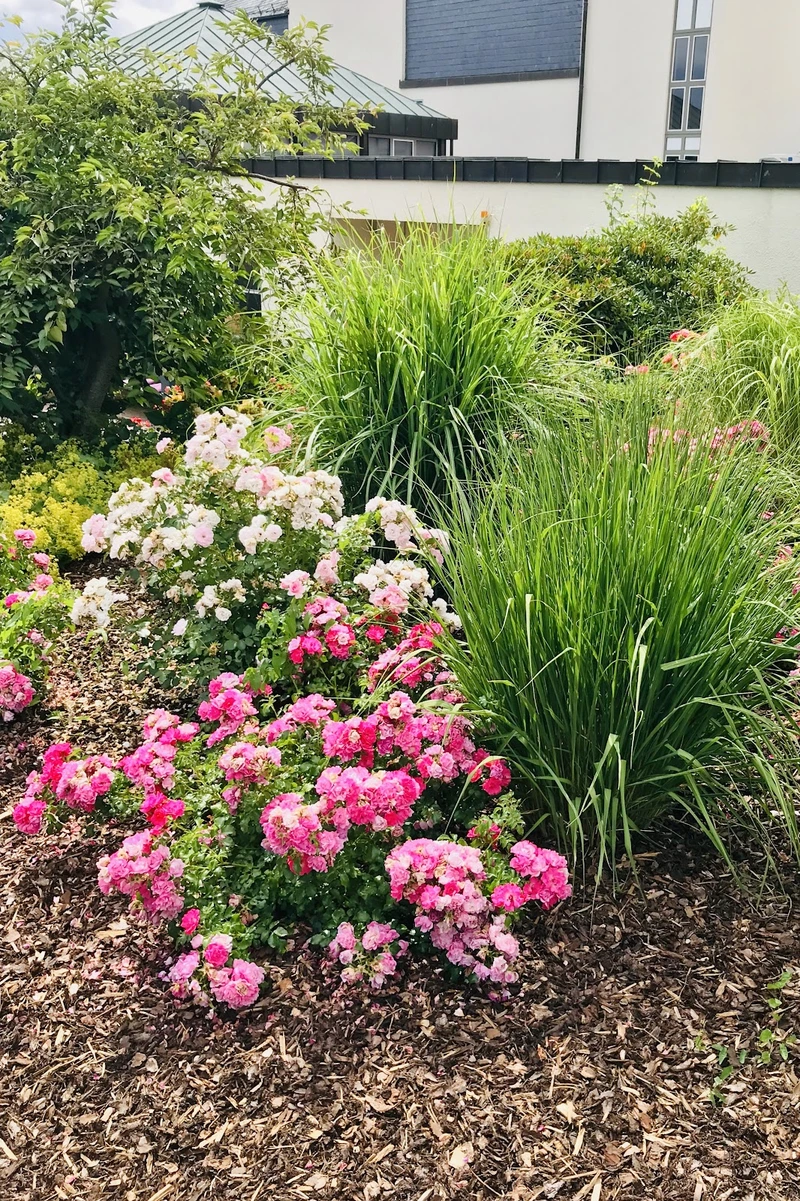 Seniorenzentrum St. Josef – Bild 1