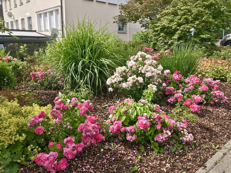 Seniorenzentrum St. Josef – Bild 5