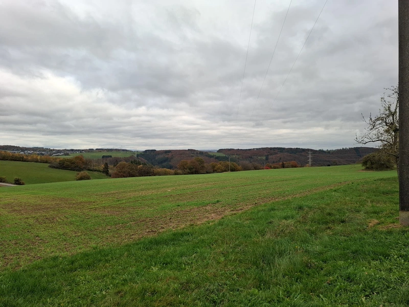 Seniorenzentrum Ignatius- Lötschert Haus – Bild 3