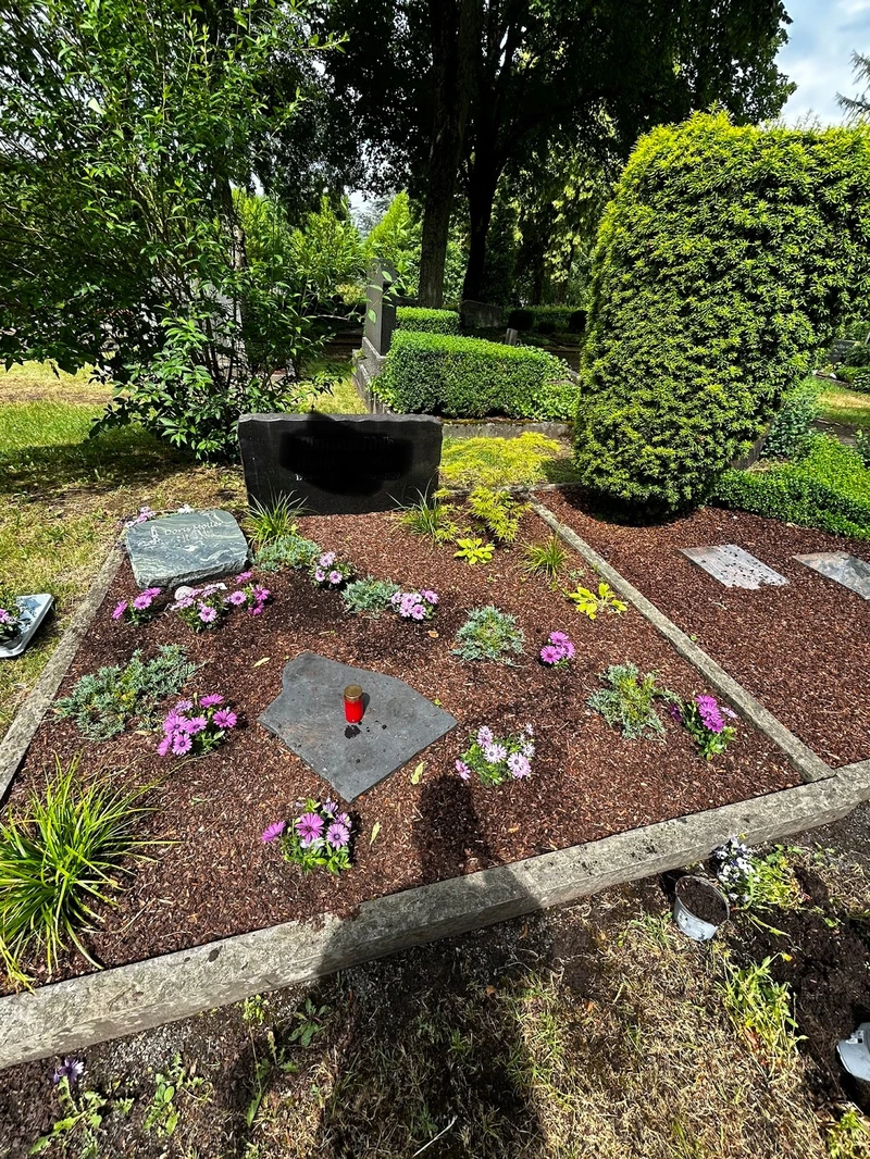 Daheimhelden – Bild 1