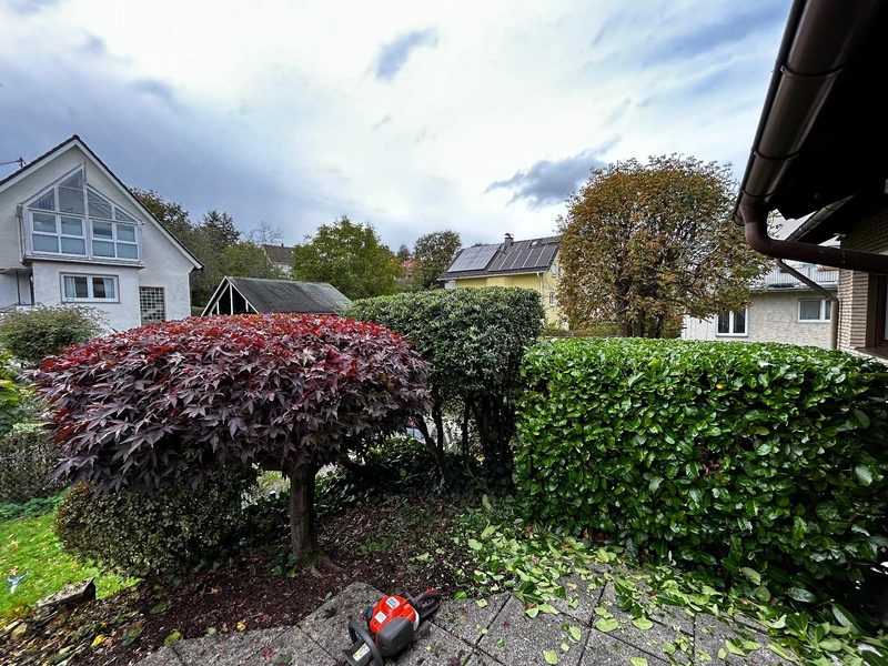 Daheimhelden – Bild 2