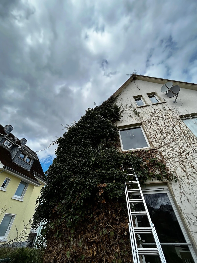 Daheimhelden – Bild 4