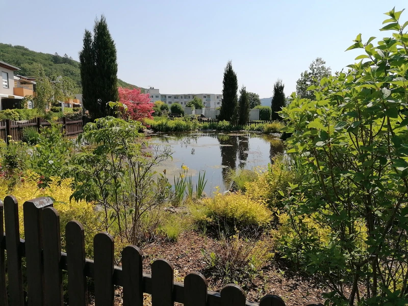 Lebensgemeinschaft Christlicher Senioren Lützeln – Bild 5