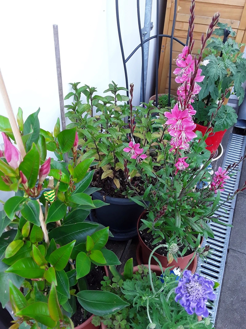 GFO Zentrum Hünsborn – Bild 3