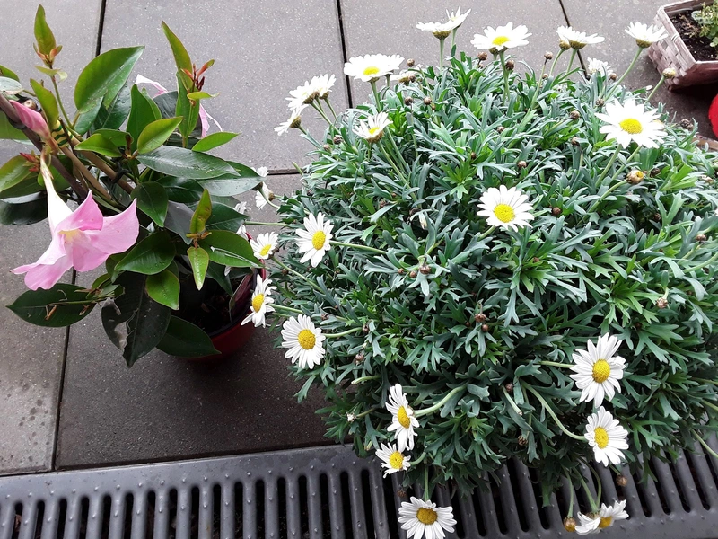 GFO Zentrum Hünsborn – Bild 4