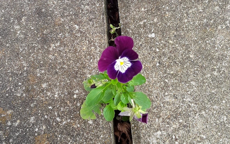 GFO Zentrum Hünsborn – Bild 5