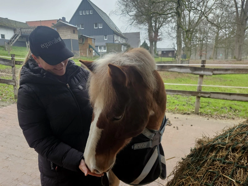 Reittherapie & Reitpädagogik – Bild 4
