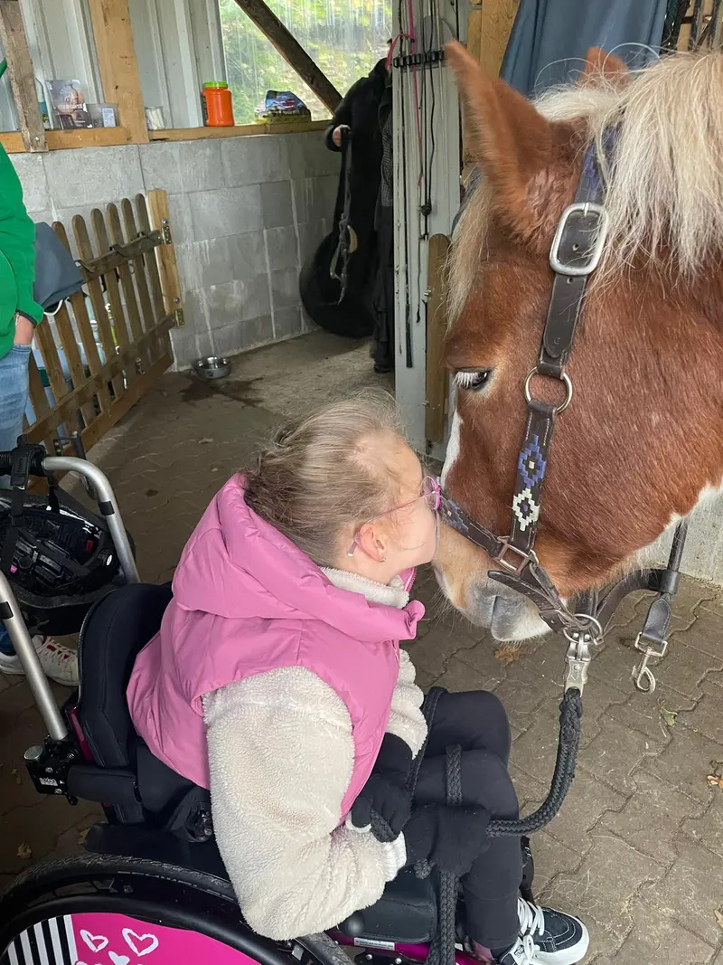 Reittherapie & Reitpädagogik – Bild 5