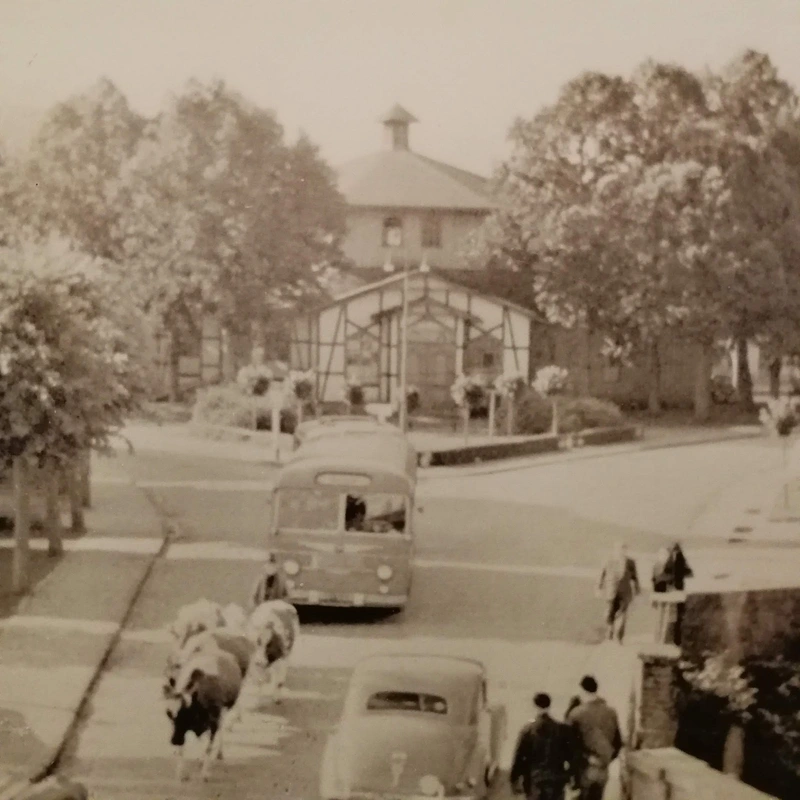 Haus im Lenninghof – Bild 5