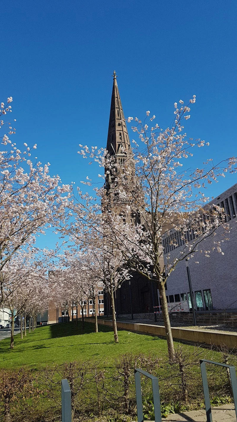 Bremm`sche Stiftung – Bild 4