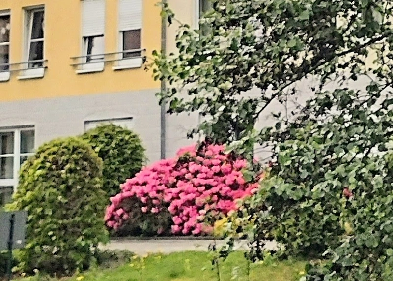 Hülsemann-Haus – Bild 3