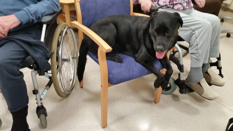 Haus Elisabeth – Bild 3