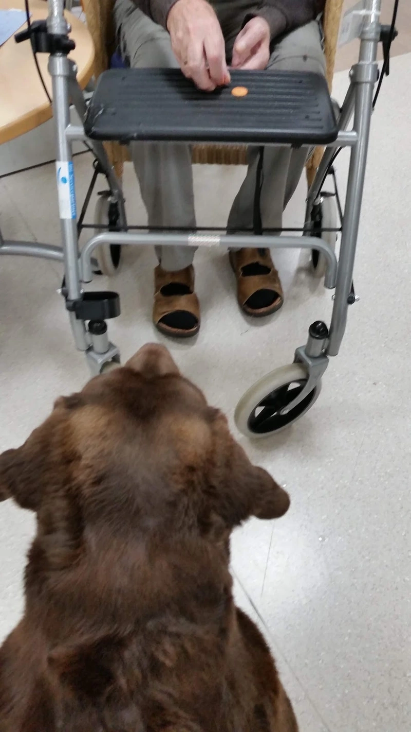 Haus Elisabeth – Bild 4