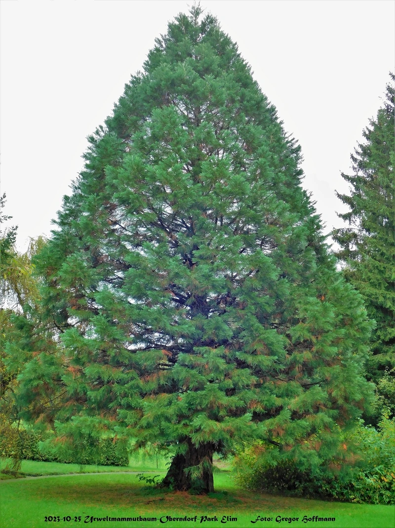 Ev. Altenheim Elim – Bild 2