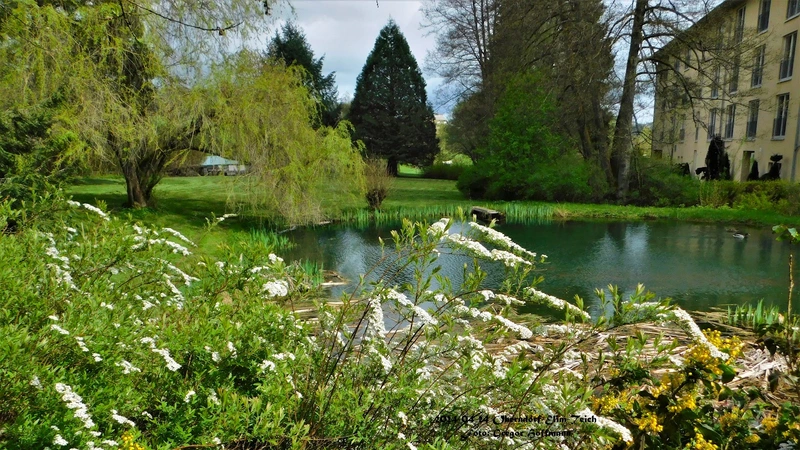 Ev. Altenheim Elim – Bild 4