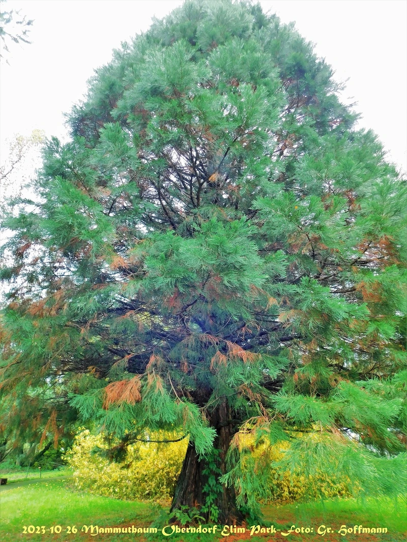 Ev. Altenheim Elim – Bild 5