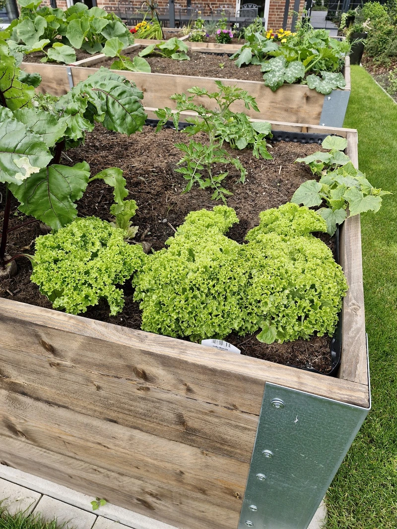 Tagespflege Villa Ostenallee – Bild 2