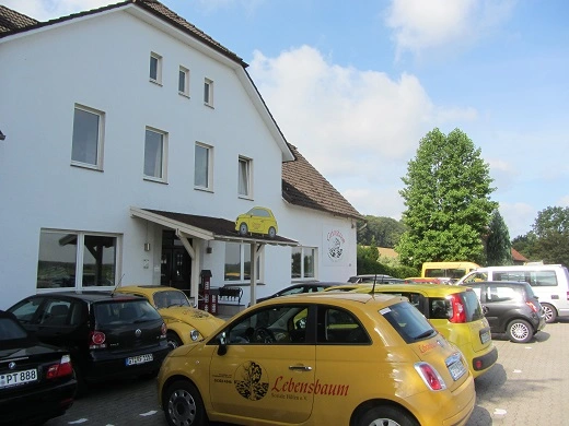 Lebensbaum Soziale Hilfen – Bild 1