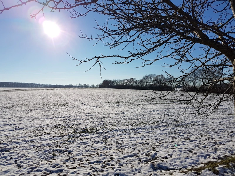 Heinrich-Dormann-Seniorenzentrum – Bild 3