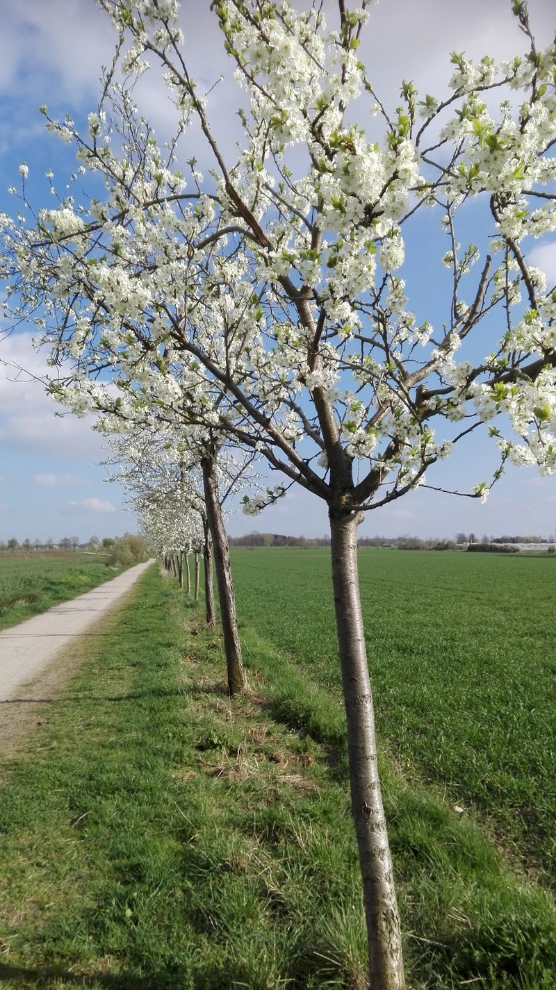 Heinrich-Dormann-Seniorenzentrum – Bild 4