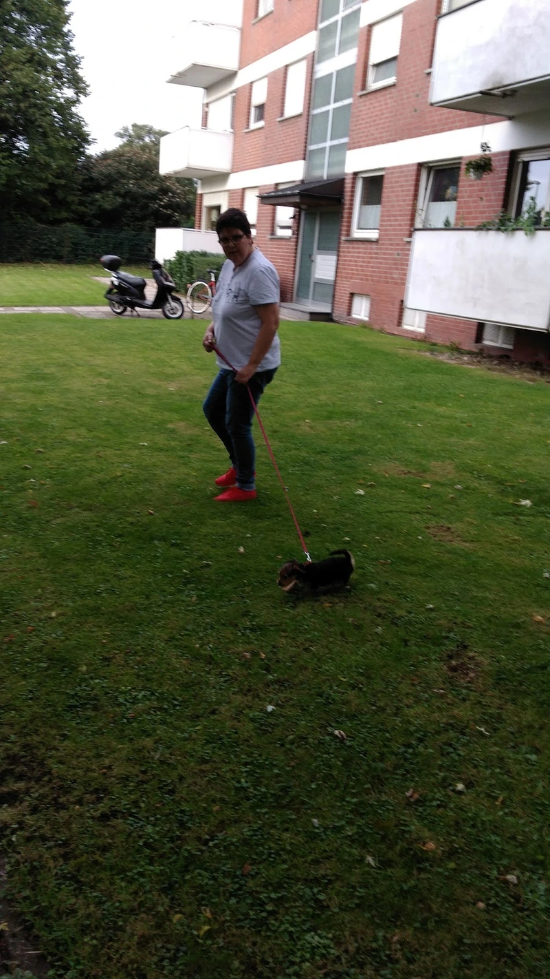 Heinrich-Dormann-Seniorenzentrum – Bild 5